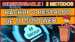 backup o respaldo de pagina web - wordpress - syspa 250px
